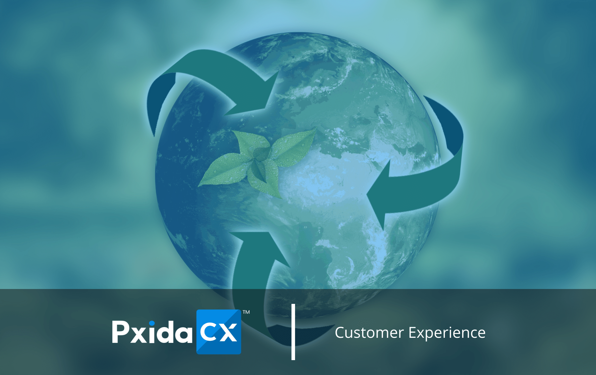 Tips for Increasing Sustainability in Customer Experience